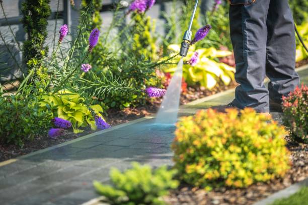 Best Machinery and Equipment Cleaning  in Melrose Park, IL